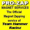 Pro Zap Magnet Services